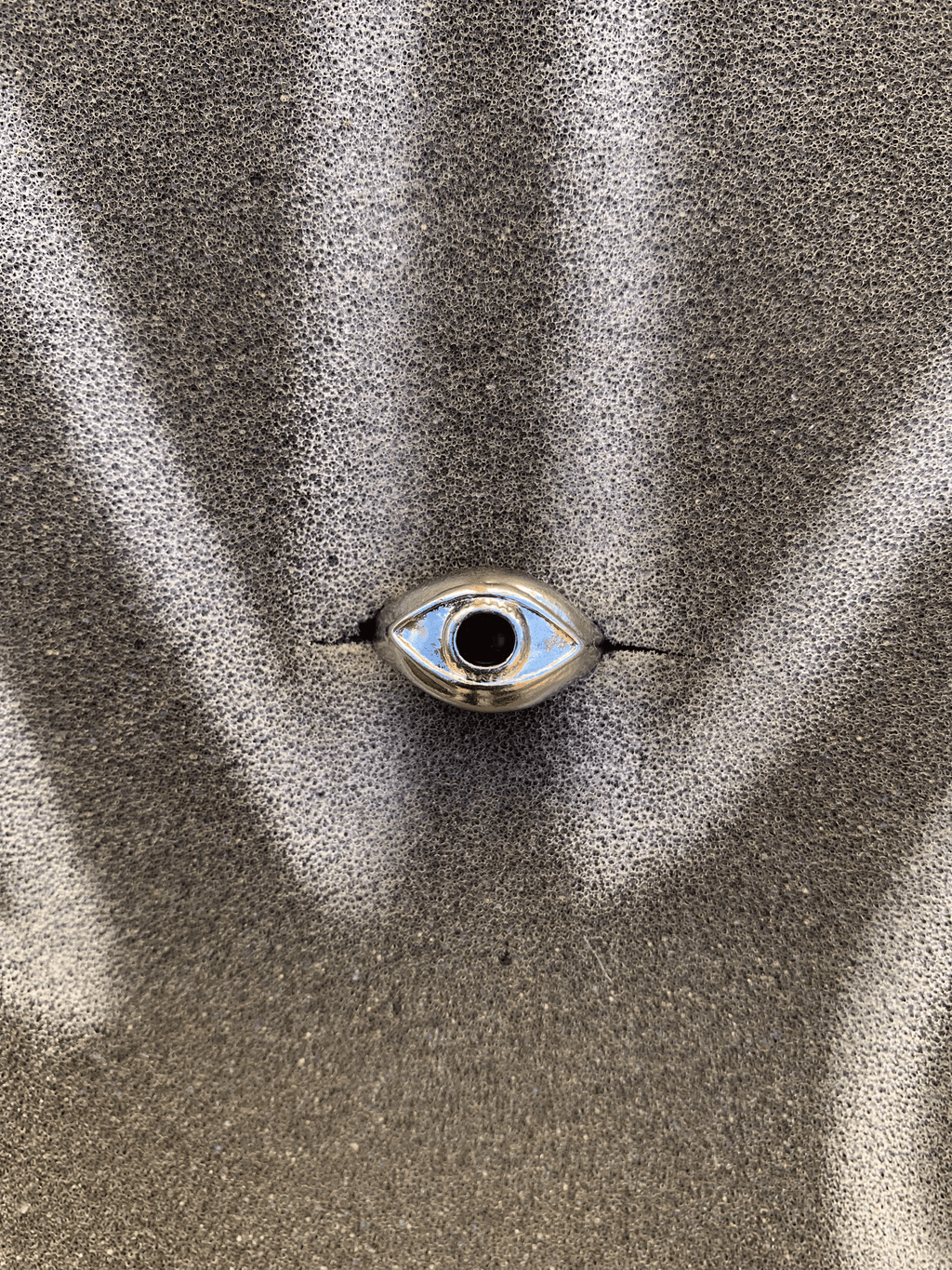 SURVEILLANCE